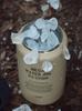 CARGO CONTAINER MEGA WATER JUG Water Bottle Cold Insulation Ice Container Khaki 3.8L