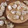 10pcs/set Irregular Shape Natural Shell Buttons with Two Holes for DIY, Clothing Accessories, Etc