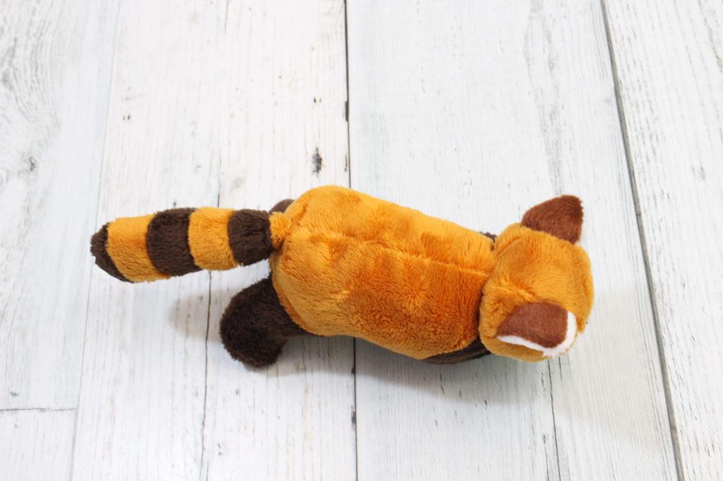 Safari Magnet Red Panda