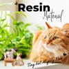 a3Pcs Small Cat Set (Including 2 Cats & 1 Chair), Resin Kitten Statues - Kissing Cat Caturines For Car, Desktop, Office, Creative Micro Landscape