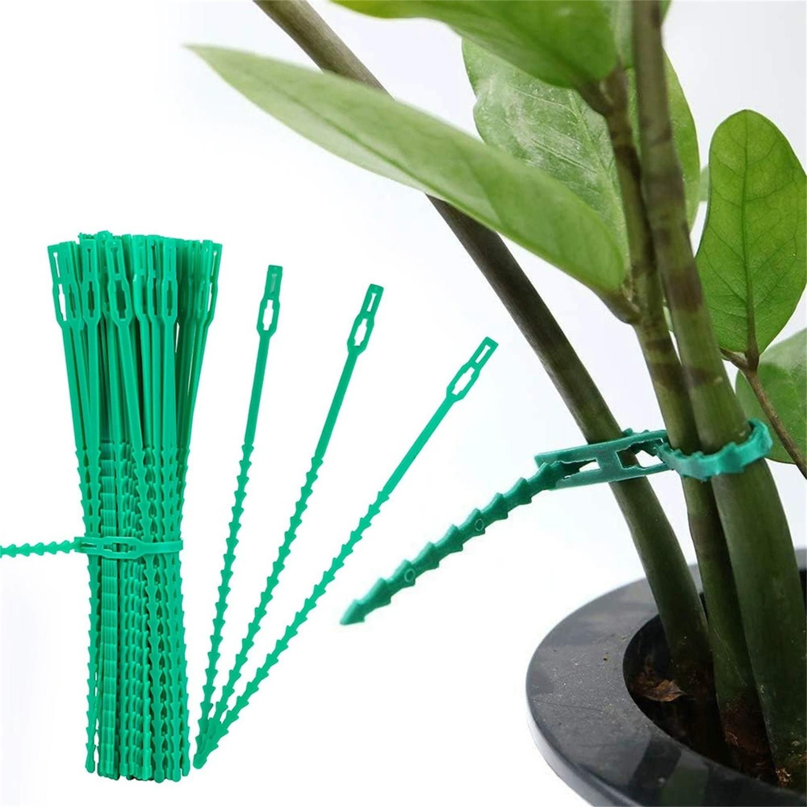 

Reusable Adjustable Plant Ties, Garden Climbing Plant Wire, Plastic Multi-Purpose Plant Support Ties for Vines and Flowers S