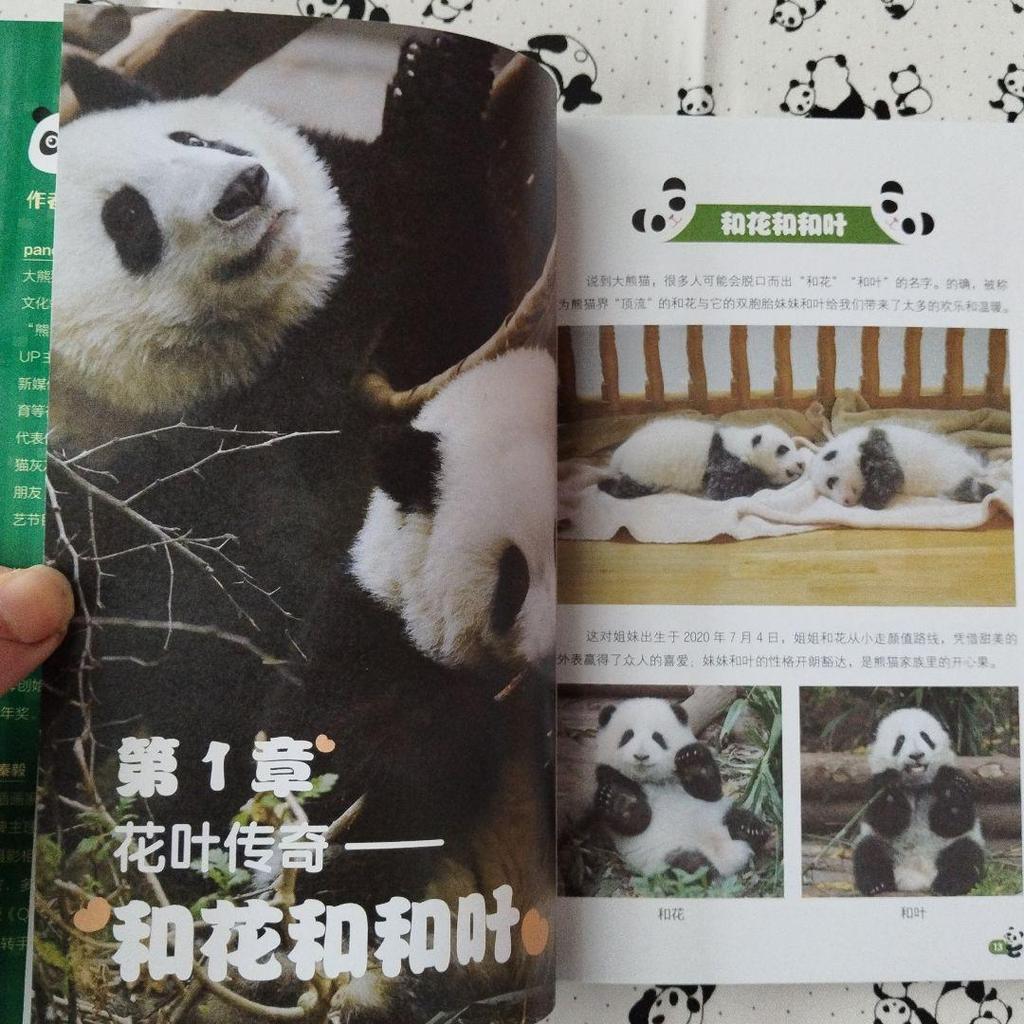 [USED] Rare item! Big Bear Cat Super Moehishi