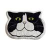 High Quality Cat Floor Mat Cashmere Anti Slip Bath Mat Stain Resistant Waterproof Doormat Bedroom