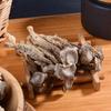 Saiwengfu Deer Antler Mushroom