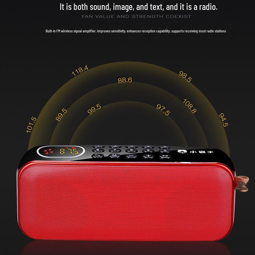 Little Overlord D82 Bluetooth Speaker: Supports card/USB for FM radio listening.