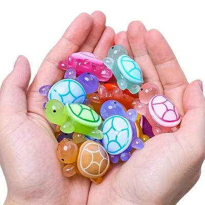 Domácí výzdoba – Dekorativní terária