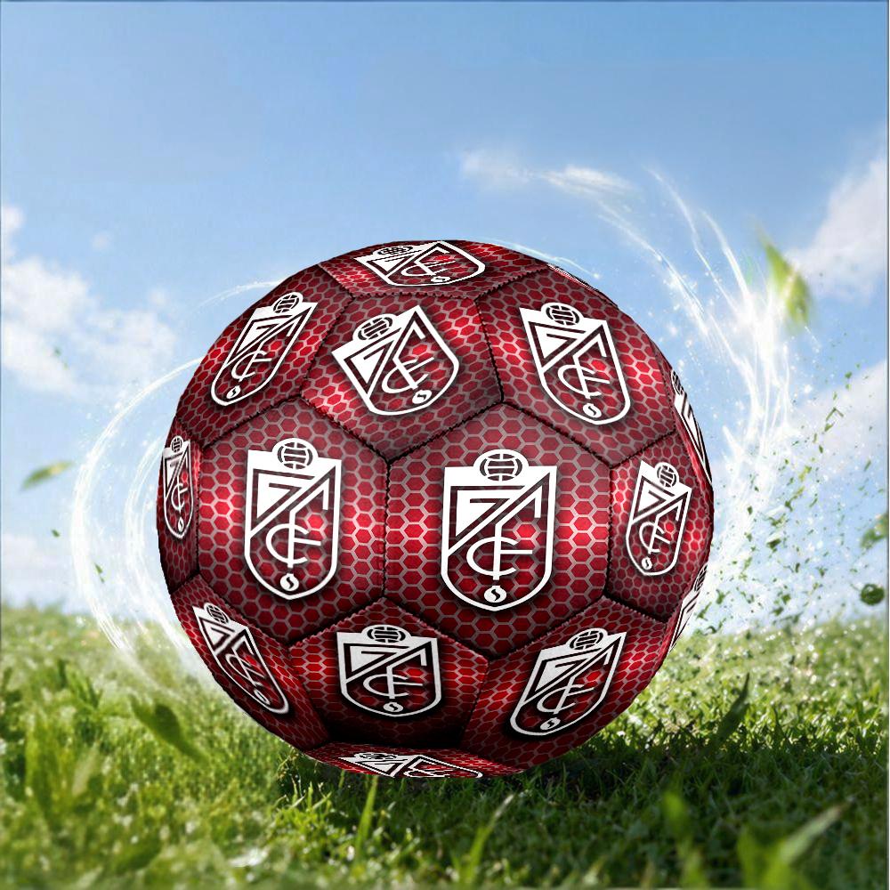 Global Unity And Strength Size 5 Soccer Ball,Indoor/Outdoor Suitable for Training Matches Tournaments Practice Games Perfect Gift for Fan
