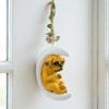 Resin Moon Dog Ornament Cute Dog on Crescent Hanging Decoration with Hemp Rope for Indoor Outdoor Backyard Patio Home Decor