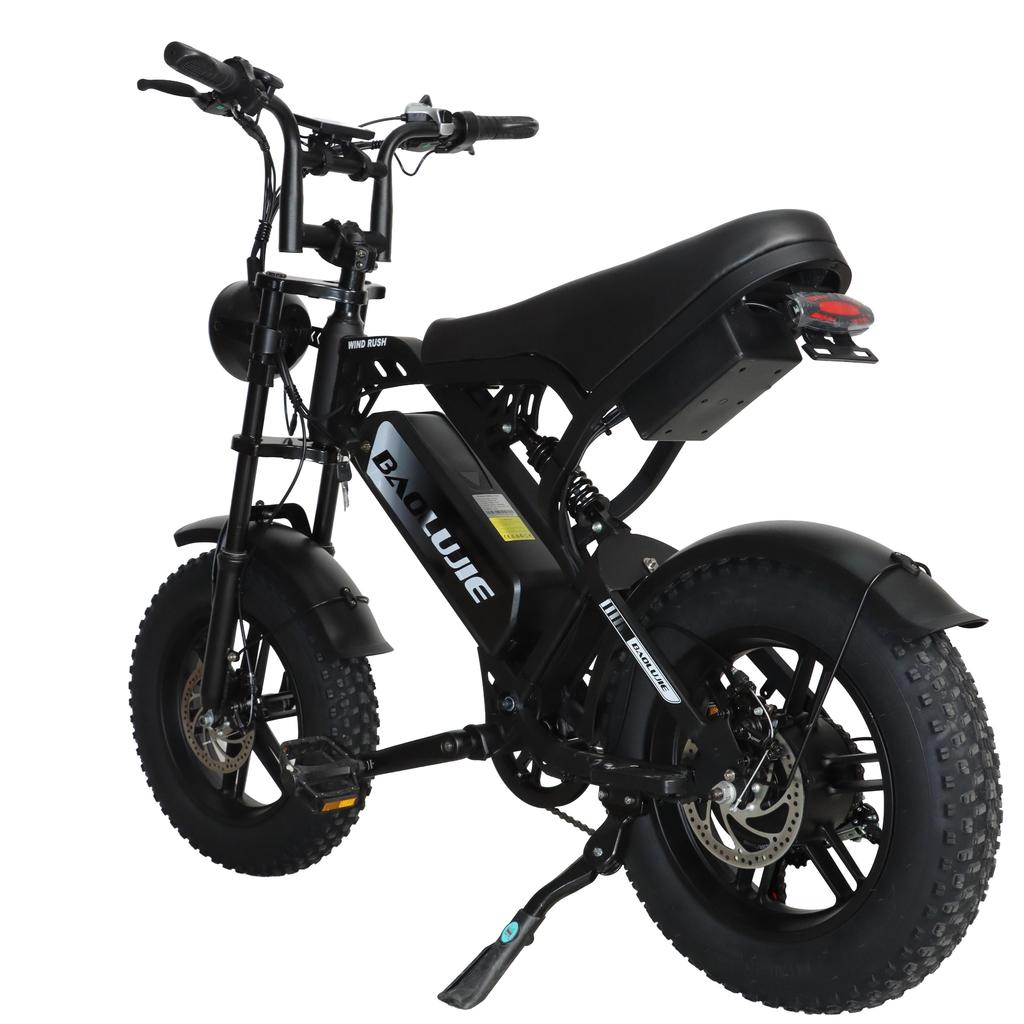 BAOLUJIE F2 500W Motor Off-Road Electric Bicycle 48V13AH Battery 45KM/H Top Speed 16 Inch All-Terrain Wide Tires City Commuting E- Mountain Bike