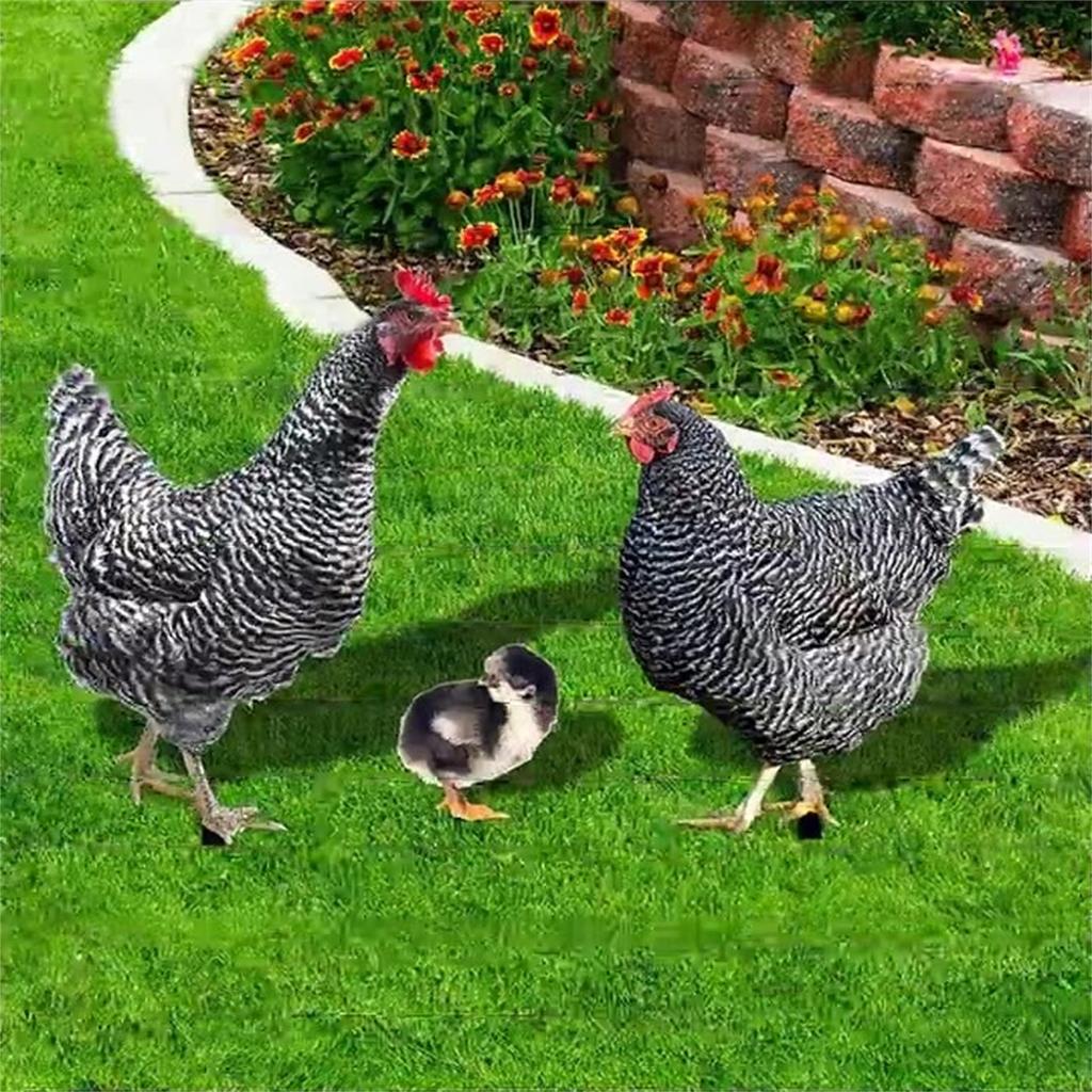 Realistic Chicken Statues,Acrylic Rooster Animals Stakes,Animals Sculptures Decor,Chicken Ornaments Yard Art Decor For Backyard Patio