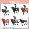Spanish Bullfighter And Bull Pvc Model Kit With Assembly For Collectors And Art Enthusiasts
