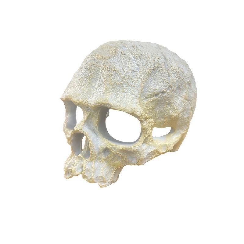 

Аквариумный декоративный череп на тему амфибий, АБС-смола, пещера-укрытие для рептилий для террариумов и вивариев белый