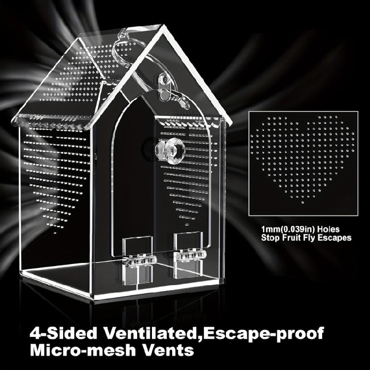 Shatterproof Clear Acrylic Reptiles Terrarium Breeding Box Ventilated Reptiles Cage For Science Experiment And Education