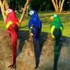 New 60/45cm Simulation Parrot Handmade Foam Feather Macaw Lawn Figurine Ornament Fake Animal Bird Garden Prop Decoration