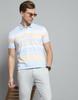 MONTE CARLO Mens Striped Blue Collar Neck Half Sleeve T-Shirt