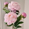 DIY 2 Head Artificial Peony Bouquet Silk Cloth Lifelike Peony Flower Bundle Artificial Flower Home Wedding Decoration