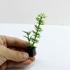 3pcs 1:12 Dollhouse Miniature Potted Plant Multistyles Play House Decor  Doll House Accessories
