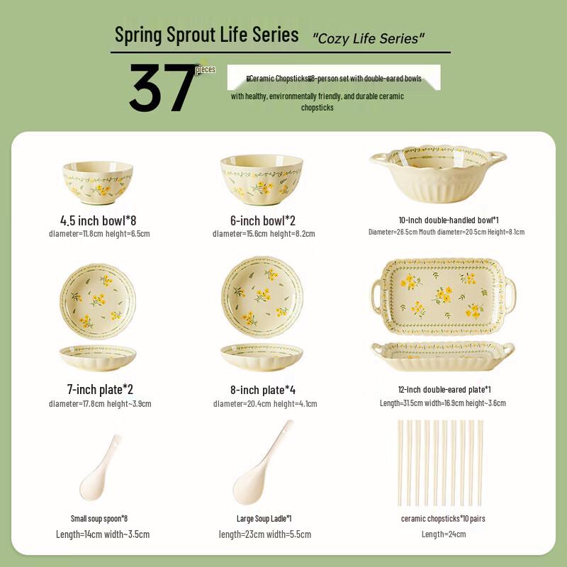 Underglaze Ceramic 37-Piece Dinnerware Set