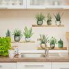 Plant Green Plants Potted Plant Shelf Wall Sticker Living Room Bedroom Home Background Wall Sticker Self-adhesive Pvc