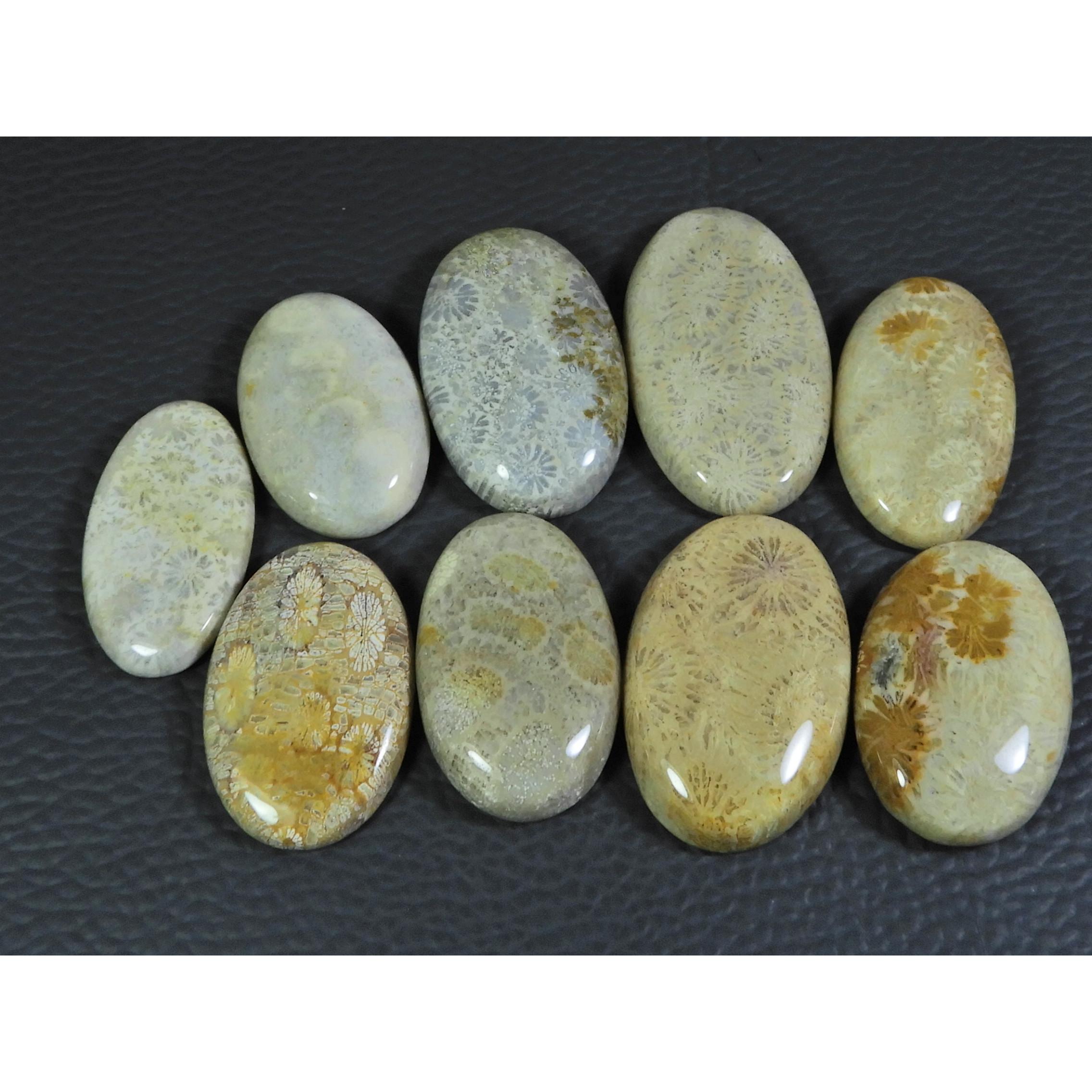 

09 шт. Натуральный ископаемый коралл Овальный кабошон Лот рассыпных драгоценных камней 272 карата. А-738