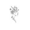 Rose Muse Side Face Tattoo Sticker, Waterproof And Long-Lasting, Thin Line Plant Butterfly, Girl Calf Tattoo