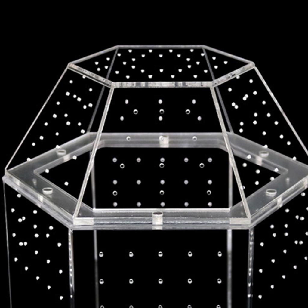 Reptilien Zuchtbox Acryl Mini Vogelspinnen Gehege Volle Transparenz Spinnen Terrarium für Spinnen Vogelspinnen Schnecken Echsen Reptilien