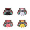 2025 Multicolor Boxing & Muay Thai Shorts, European Size, for Kickboxing & Sanda Competition and Training, Adult