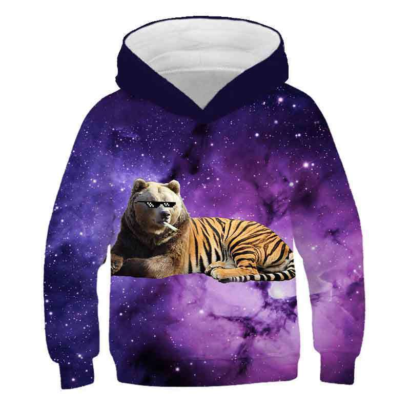 Autumn 3D Animal Tiger Pattern Printed Top Fashionable Casual Long Sleeved Children's Boy Hoodies