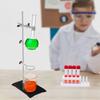 50cm Lab Stands with Support and Flask Condenser Clamp Scientific Supplies for Physics and Chemistry Experiments