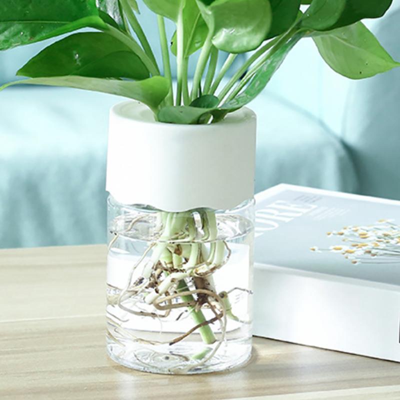Transparent Round Hydroponic Planter Water Growing Vase Container Plastic Tabletop Plant Bonsai Home Living Room Decoration