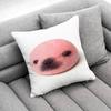 Seal Sea Cute Funny Throw Pillow Case For 50x50cm 40x40cm 55x55cm 45x45cm 30x30cm Square Bedroom Pillowcase Cover
