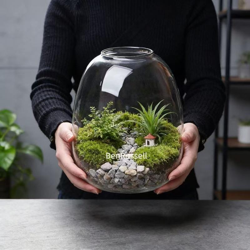Mikrolandschaft Ökologische Moosgrüne Pflanzen Glasflasche Dekorationsvase Hydrokultur Moospflanze Landschaftsgestaltung Glasbehälter