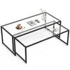 Set aus 2 Kaffeetischen, Glastischen, mit pulverbeschichtetem Stahl, Schwarz + Transparent
