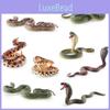 Modellino di Serpente Realistico Ornamento Statico da Scrivania Per Appassionati di Rettili
