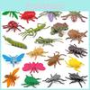 Realistic Insect Figurine Collection With Static Pvc Models For Classroom Use And Decor
