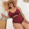 2026 Plus Size European & American High Waist Neck Tie Bikini Swimsuit for Women
