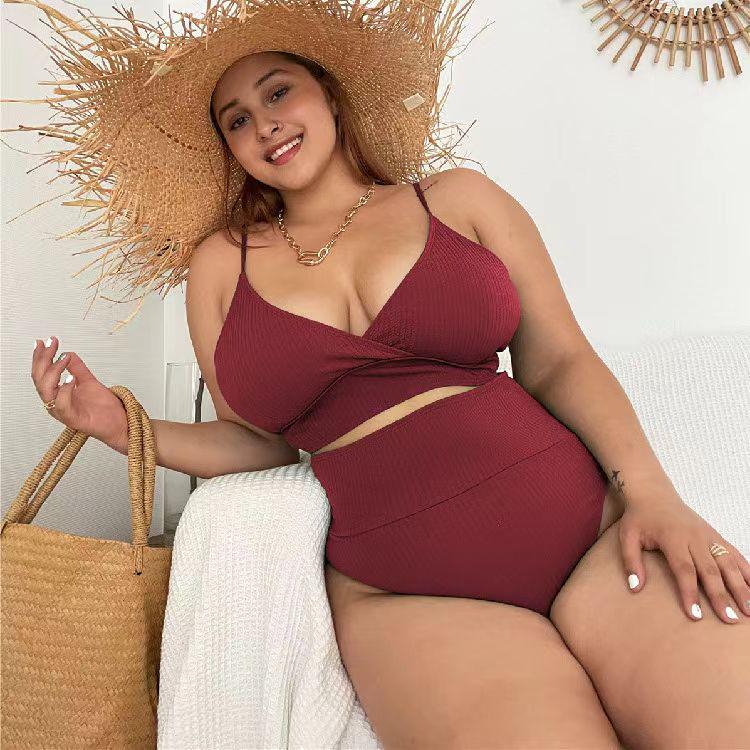2026 Plus Size European & American High Waist Neck Tie Bikini Swimsuit for Women