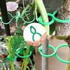 50/20 Pcs Plant Support Clips Sturdy Adjustable Tomato Vine Holders Fit Garden Stakes Cages Efficient Growth For Home Gardeners