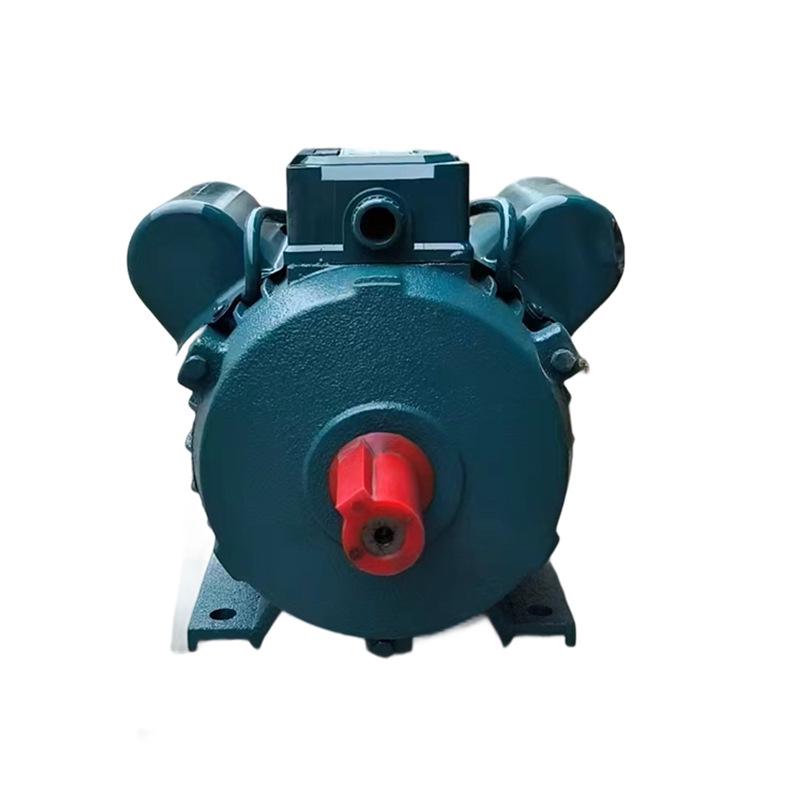 Adjustable Speed Single-Phase 220V Motor - 1.5kW/2.2kW/3kW