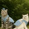 Mode Niedliches Welpen Karokleid Atmungsaktiv Weich Haustier Windjacke Dünnes Design Katze Schleife Perlenmantel Herbst Winter