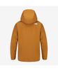 The North Face Nj2Gr99C Men'S Pilatus Gore-Tex Jacket Camel