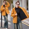 Popular Casual Loose Fleece Tooling Pie Overcomes Women's Winter New Outdoor Jacket