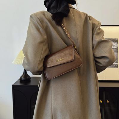 Popular Niche Design Women's Underarm Shoulder Bag 2025 New Autumn and Winter Temperament Fashionable Versatile Oblique Span