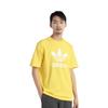 adidas T-shirt Adicolor Trefoil IR7977