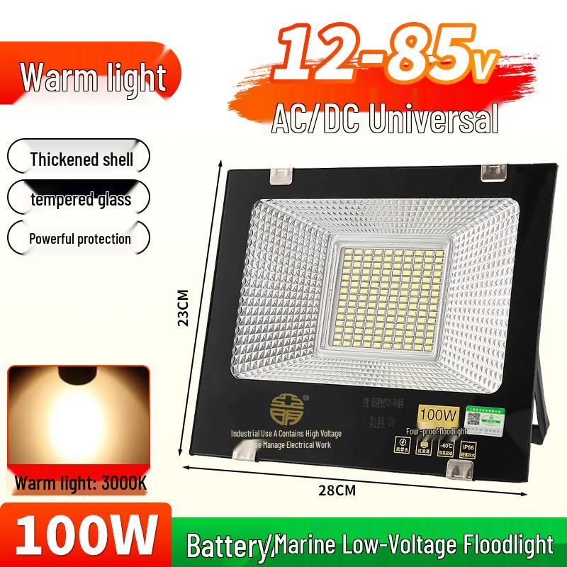 Yaming Marine LED Floodlight: 100W Outdoor Waterproof Spotlight for 12V/24V/36V DC Battery