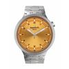 Swatch WYNPY AMBER SHEEN SB07S103G Gray Watch