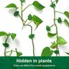New Invisible Plant Climbing Wall Fixture Clips 10-50Pcs PcsRattan Vine Bracket Fixed Buckle Leaf Clips Traction Holder Garden