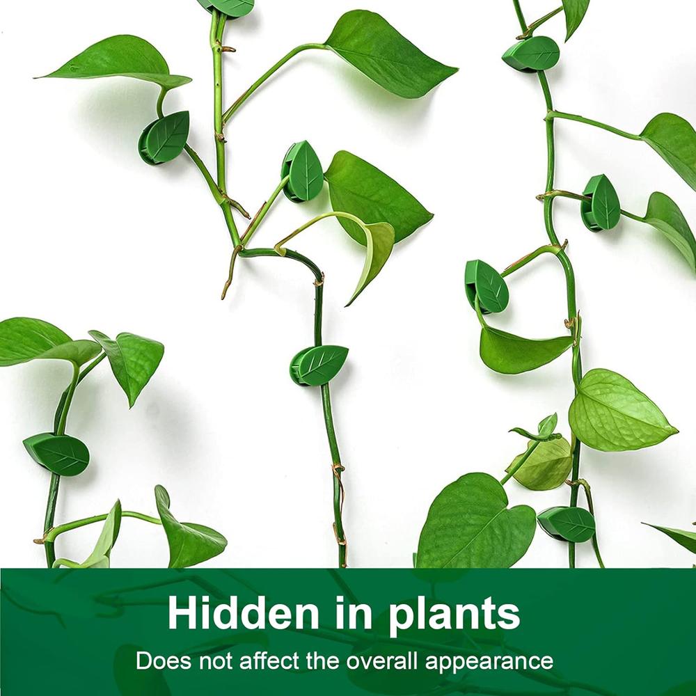 New Invisible Plant Climbing Wall Fixture Clips 10-50Pcs PcsRattan Vine Bracket Fixed Buckle Leaf Clips Traction Holder Garden