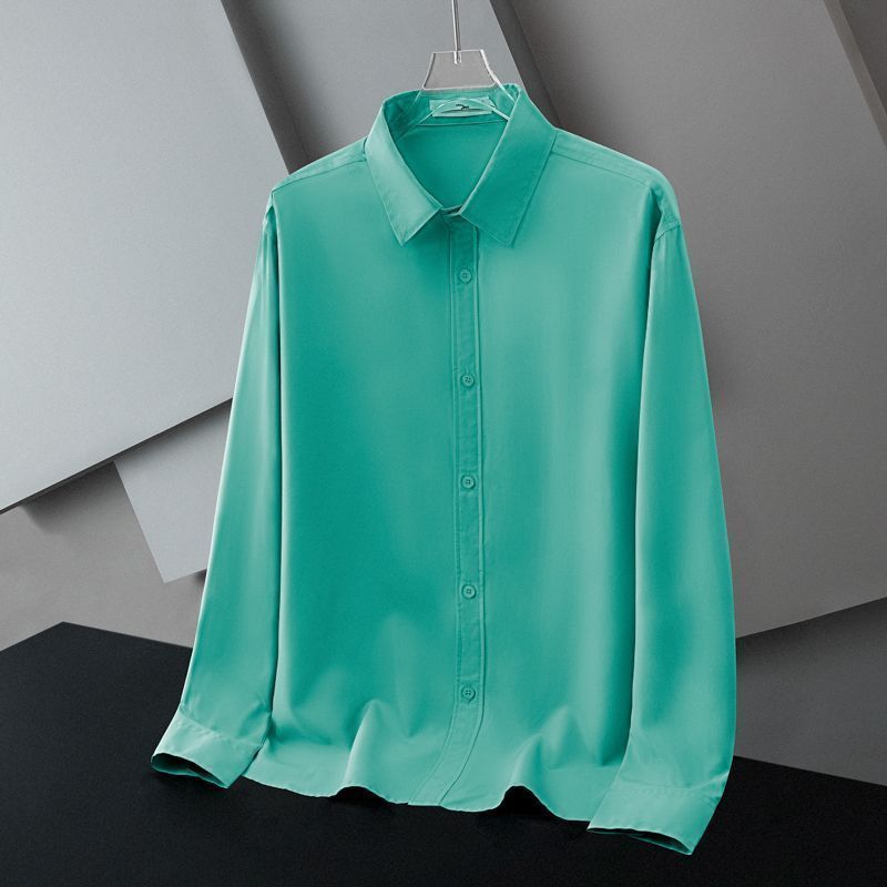 Spring and Autumn Business and Leisure Minimalist Flip Collar Silk Smooth Non Ironing Breathable Elastic Shirt for Men