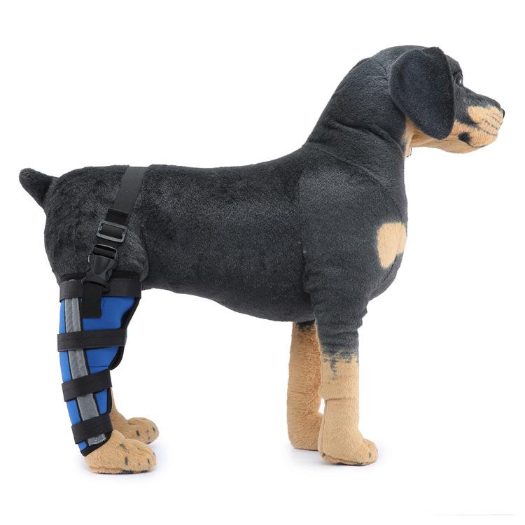 Ginocchiere traspiranti per animali domestici, tutore di supporto per cane per zampa destra e sinistra, bendaggio per articolazione del garretto, protettore per il recupero da infortunio, supporto per zampa di cane